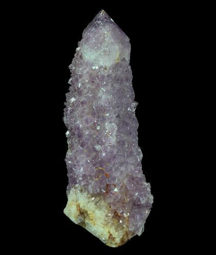 Dark Cactus Quartz (Amethyst) Crystal - South Africa #64225